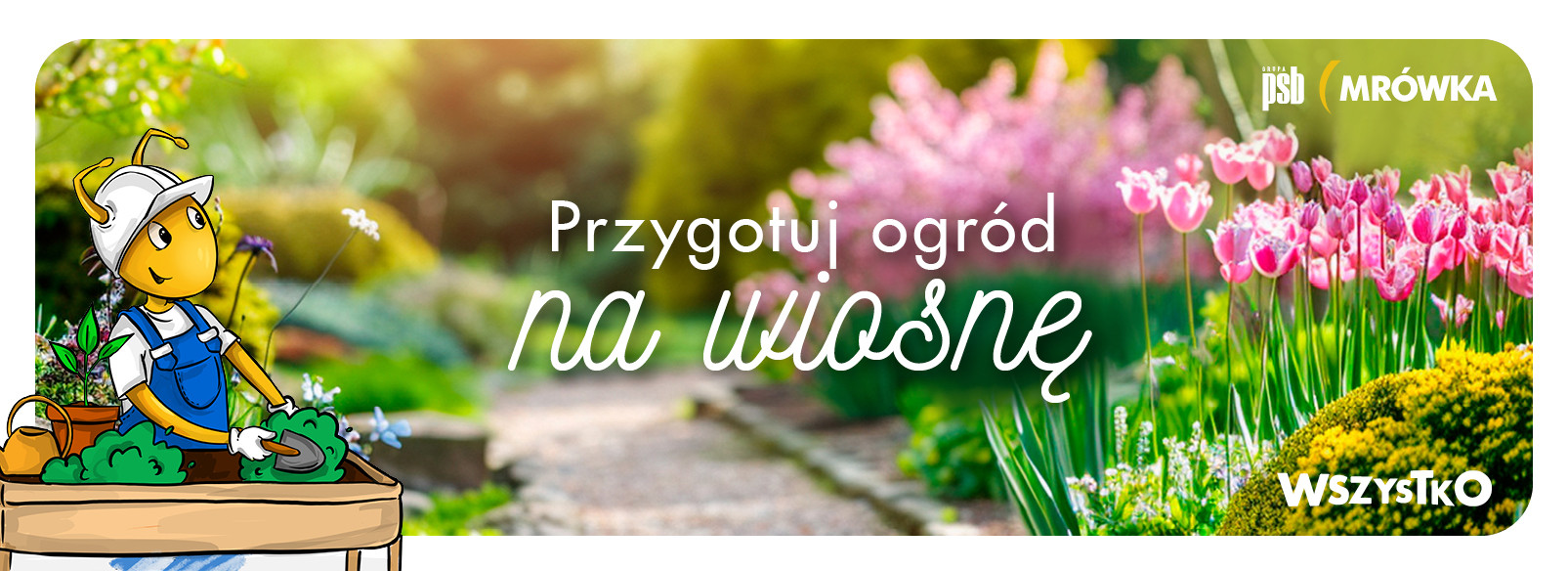 Grupa PSB mrowka Mrówka Brzozów