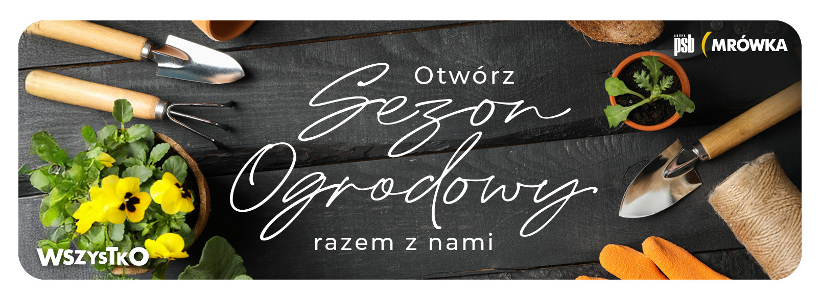 Grupa PSB mrowka Mrówka Brzozów