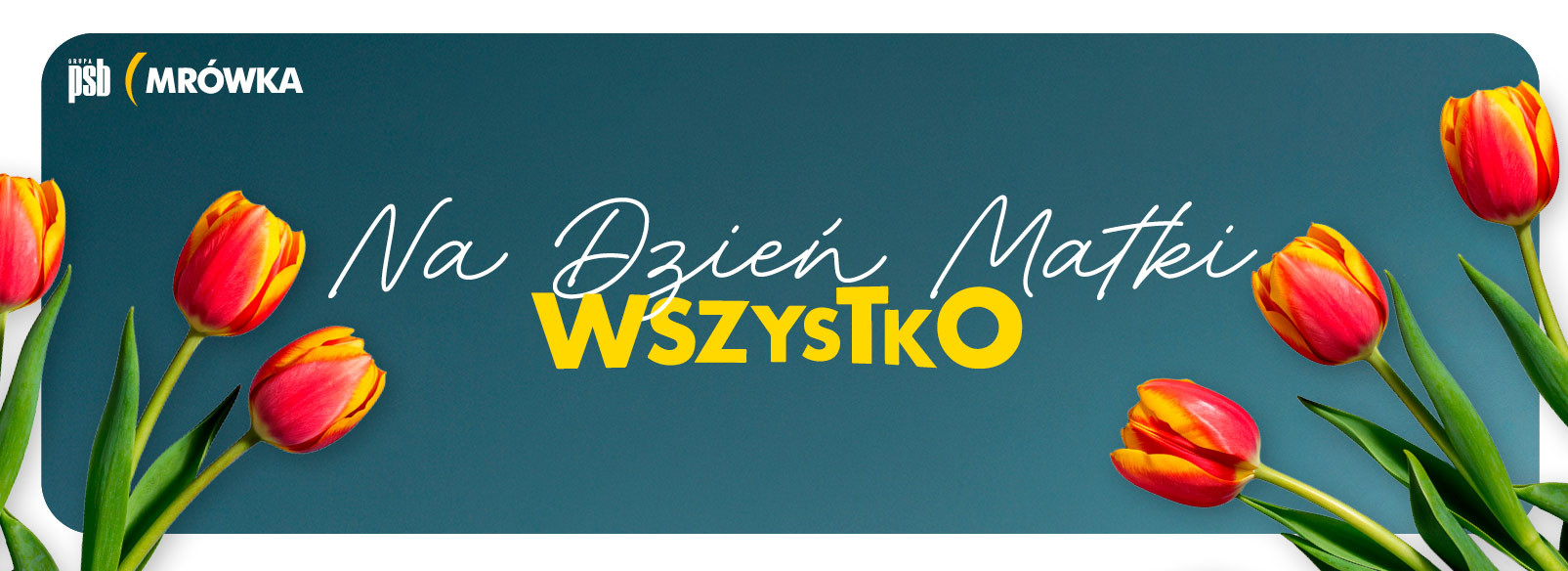 Grupa PSB mrowka Mrówka Brzozów