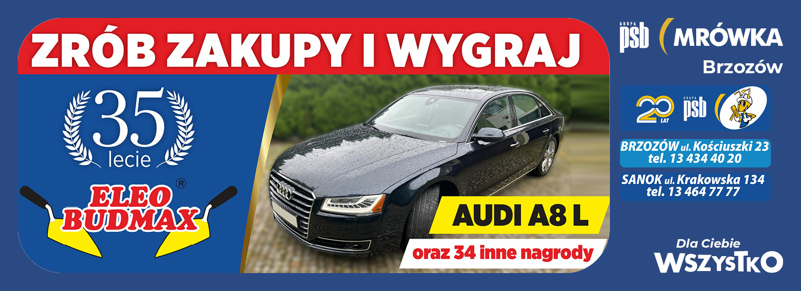 Grupa PSB mrowka Mrówka Brzozów